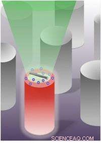 Scientists Confirm Nanotube Growth Theory: Chirality Drives Speed