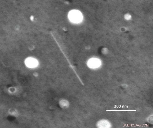 Scientists Confirm Nanotube Growth Theory: Chirality Drives Speed