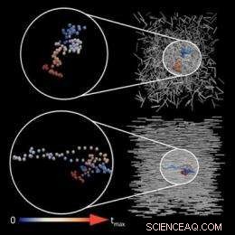 How Nanorod Alignment Modulates Diffusion Rates and Directions