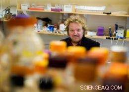 Plant-Based Photovoltaic Panels Offer Affordable Solar Energy Solution