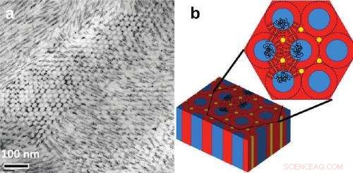 Breakthrough in Self-Assembling Nanorods: 1D, 2D, and 3D Arrays Achieved by Researchers