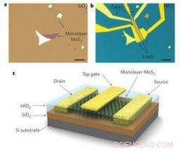 Molybdenite Outperforms Graphene in Integrated Logic Circuits, New Study Shows