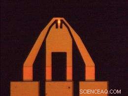 Steel‑Inspired Nanomanufacturing Delivers Durable Carbide Tips for Atomic Force Microscopy