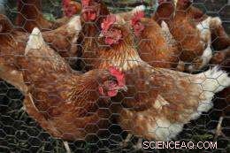 Lab Study Sparks Concerns About Nano-Particle Effects on Health