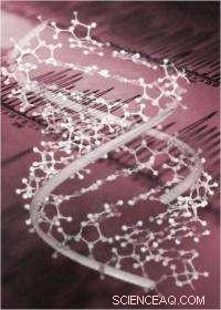 Graphene Oxide: A Powerful Tool for Studying Live-Cell Molecules