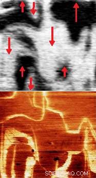 Ferroelectric Domain Walls Unlock a Nanoscale Conduction Pathway