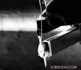 Scientists Map Charge Distribution Inside a Single Molecule for the First Time