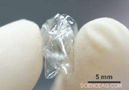 All‑Carbon Nanotube Transistor Withstands Paper‑Like Crumpling While Maintaining Functionality