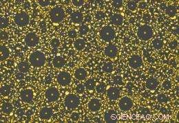 Solved: The Mystery of Nanoscale Crop Circles Explained