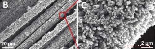 Innovative Tube-Shaped Solar Cells Enable Wearable Energy Generation