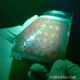 Introducing the World’s First Sterilizable Flexible Organic Transistor