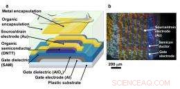 Introducing the World’s First Sterilizable Flexible Organic Transistor