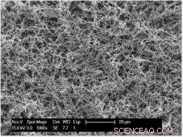 Tiny Fractal Trees: A Breakthrough in Solar Cell Efficiency