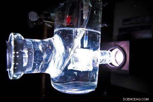 Nanotrees Convert Solar Energy into Hydrogen Fuel by Splitting Water