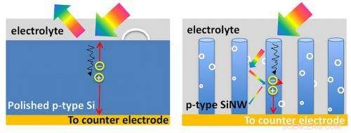 Nanotrees Convert Solar Energy into Hydrogen Fuel by Splitting Water