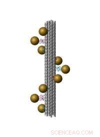 DNA-Based Nano Spiral Staircases: Precision Optical Materials That Control Light