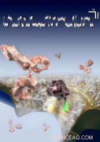 Solid‑State Protein Sensor Proves Versatile, Advancing Detection Capabilities