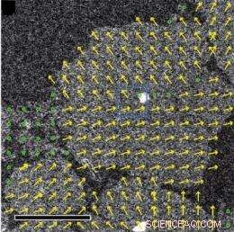 New Research Paves Path to Superior Organic and Molecular Electronics