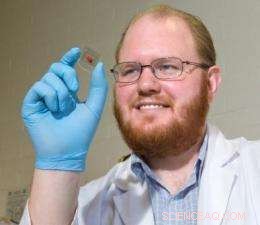 Revolutionary Solar Cells Turn Building Windows into Power Generators