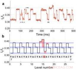 Revolutionary Miniature DNA Sequencer Enables Rapid, Cost‑Effective Sequencing