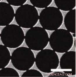 Researchers Unveil Advanced Tool for High-Resolution Biomolecule Imaging