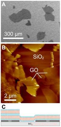 Harnessing Graphene for Advanced Cell Membrane Modeling