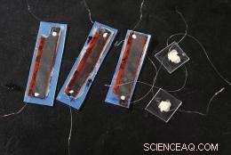 Researchers Evaluate Nanotech’s Economic Impact on Green and Sustainable Growth