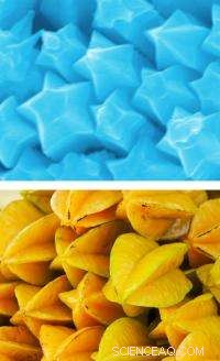 Nanostar Fruits: The Golden Future of Research