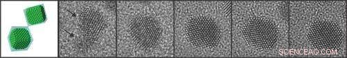 Graphene Breakthrough: Enabling Electron Microscopy of Liquid Samples