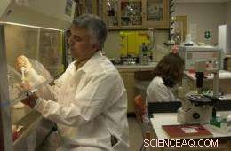 Nanotechnology Breakthrough: Scientists Track Hidden Pathogens with Novel Nanoparticle Technique