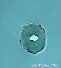 Nanotech-Enhanced Cotton: Expanding Fiber Innovation for Sustainable Apparel