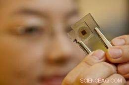 Nanotube Electrodes Boost Solar Cell Efficiency, Paving Way for Affordable, High-Performance Alternatives