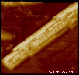 Self-Assembling Plastic Nanofibers with Exceptional Electrical Conductivity