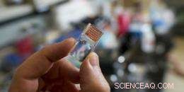 Nano Nod: Revolutionizing Lab-on-a-Chip Diagnostics