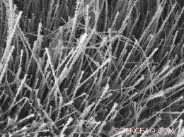 Nanowire Decorations Boost Nanotechnology Performance
