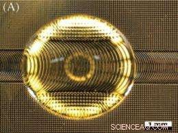 Portable Diagnostics: Reliable, Hands‑Free Testing for On‑The‑Go Care