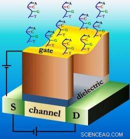 New Flexure-FET Biosensor Offers Breakthrough in Early Cancer Detection
