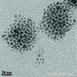 Nanomedicine Breakthrough: Quantum Dots Show No Toxicity in Primate Study