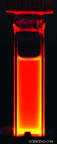 Nanomedicine Breakthrough: Quantum Dots Show No Toxicity in Primate Study