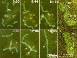 Nanorods: How Nanoparticles Mimic Artificial Atoms During Crystal Growth
