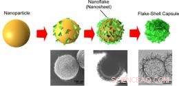 Innovative Elastic Soft Capsule Fabricated with Nano-Sized Silica Flakes