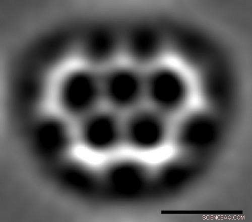 Scientists Capture Unprecedented Image of the Smallest Five-Ringed Molecular Structure