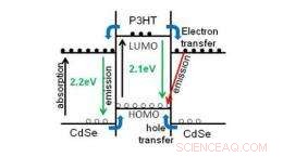 Researchers Pinpoint Size and Environmental Impact of Quantum Dots in Hybrid Solar Cells