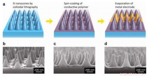 Silicon Nanocones: A Game-Changer for Affordable Solar Cells