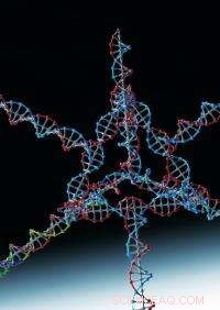 Scientists Achieve RNA Interference Using Lightweight DNA–RNA Nanoparticle