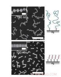 Revolutionizing Antennas and Lenses with Self-Assembling Silver Nanocubes