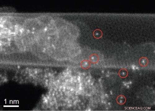 Oak Ridge Lab Microscopy Unveils Structure of Low-Cost, High-Performance Catalyst