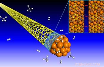 Eliminating Defects in Nanotube Growth: Iron Catalysts Repair Structural Errors