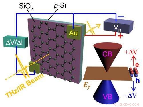 Voltage‑Controlled Graphene Shutter for Terahertz & Infrared Light