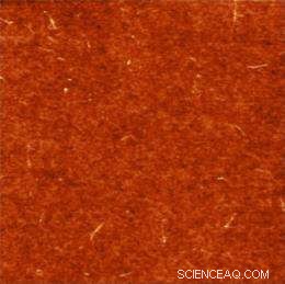 MIT Breakthrough: All‑Carbon Solar Cells Capture Infrared Light